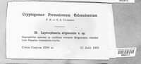 Image Associated With the Occurence